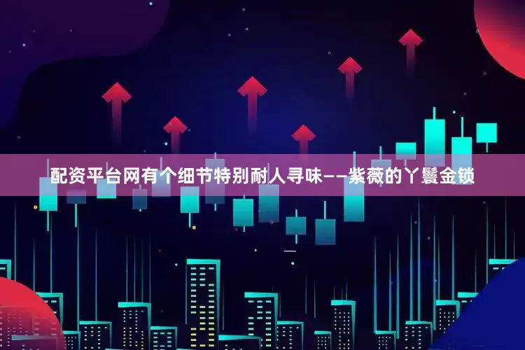 配资平台网有个细节特别耐人寻味——紫薇的丫鬟金锁
