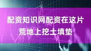 配资知识网配资在这片荒地上挖土填垫